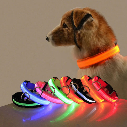LED Dog Collar with USB Charging
